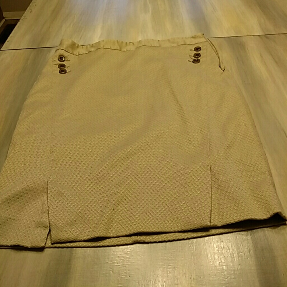 The Limited skirt